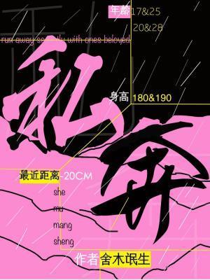私奔封面
