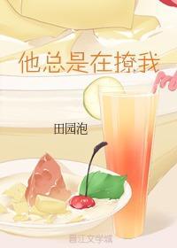 他总是在撩我封面