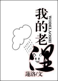 我的老师封面