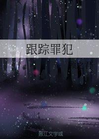 跟踪罪犯封面