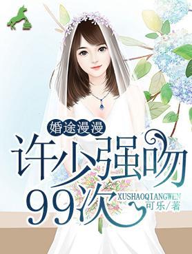 婚途漫漫：许少强吻99次封面