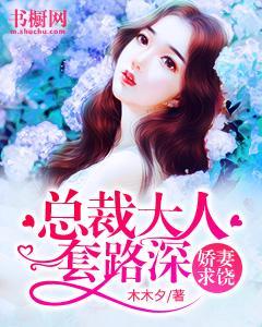娇妻求饶:总裁大人套路深封面
