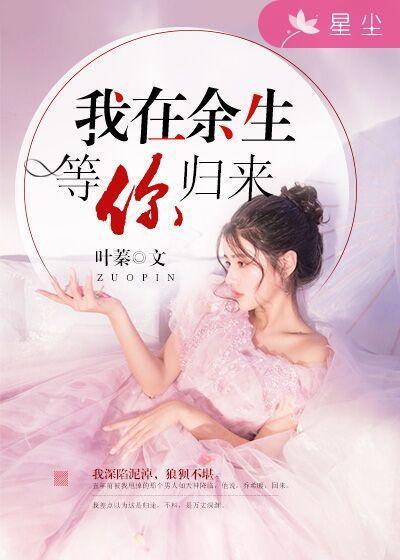 我在余生等你归来封面