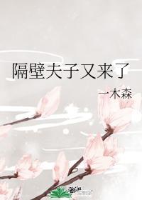 隔壁夫子又来了封面