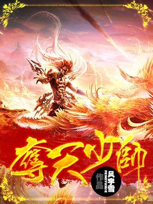夺天少帅封面