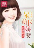 总裁霸宠：呆萌小娇妻封面