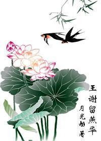 王谢留燕华封面