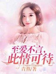 至爱不言，此情可待林晗张钦荣封面