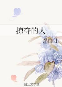 掠夺的人封面