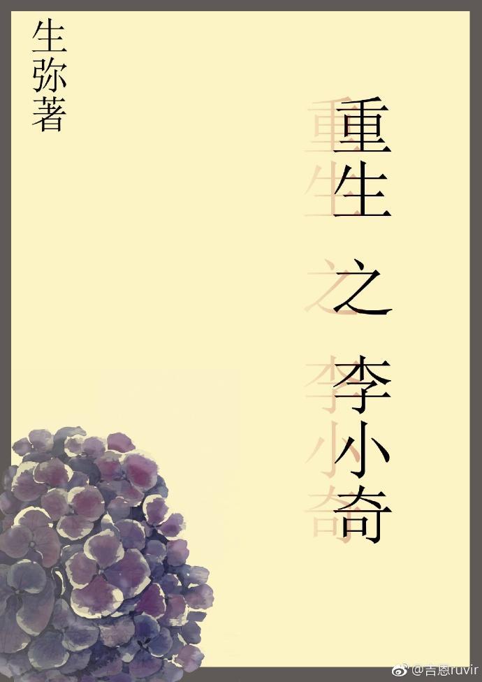 重生之李小奇封面