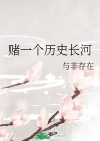 赌一个历史长河封面
