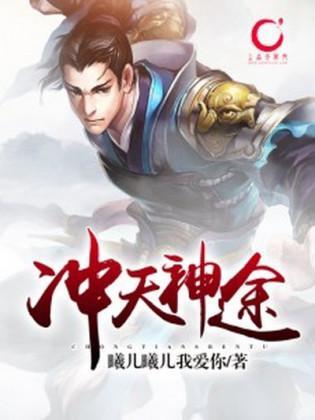 冲天神途封面