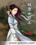 贴身女护卫封面