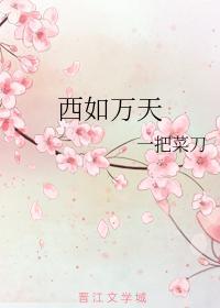 西如万天封面