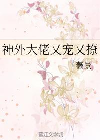 神外大佬又宠又撩封面