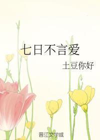 七日不言爱封面