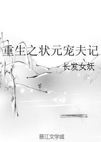 重生之状元宠夫记封面