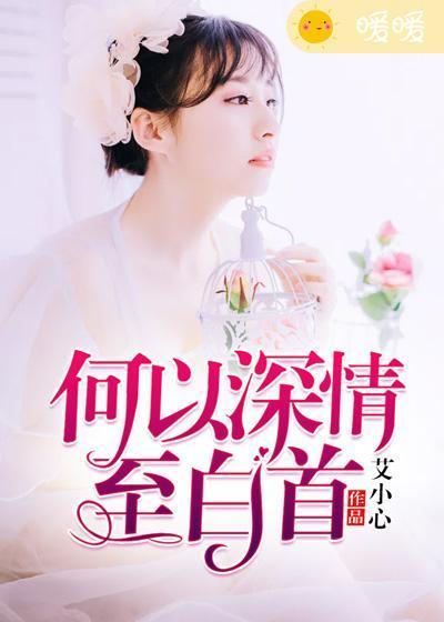 何以深情至白首封面
