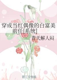 穿成当红偶像的白富美前任[系统]封面
