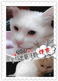 一个尽忠职守的炮灰封面