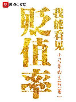 我能看见贬值率封面