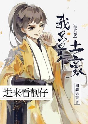我只是个土豪[综武侠]封面