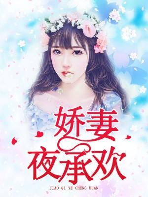 娇妻夜承欢封面