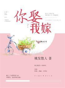 你娶我嫁封面