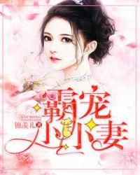 霸宠小小妻封面