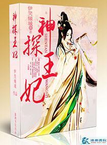神探王妃封面