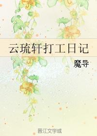 云琉轩打工日记封面
