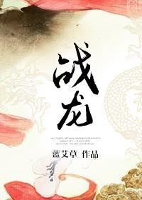 战龙封面