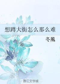 想蹲大街怎么那么难封面