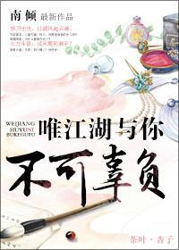 唯江湖与你不可辜负封面