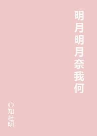 明月明月奈我何封面