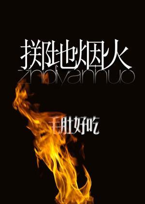 掷地烟火封面