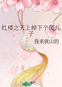 红楼之天上掉下个傻儿子封面
