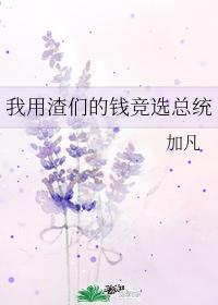 我用渣们的钱竞选总统封面