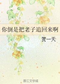 你倒是把老子追回来啊封面