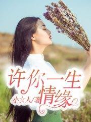许你一生情缘夏梦兮顾晟林封面