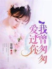 我曾匆匆爱过你林沐杨浩辰封面