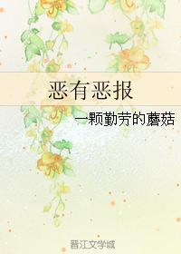 恶有恶报封面