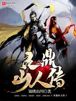 灵鼎山人传封面