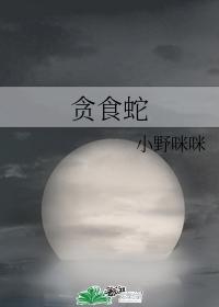 贪食蛇封面