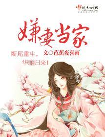 嫌妻当家封面