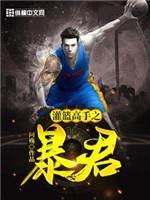 灌篮高手之暴君封面