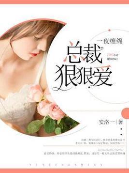 一夜缠绵总裁狠狠爱封面