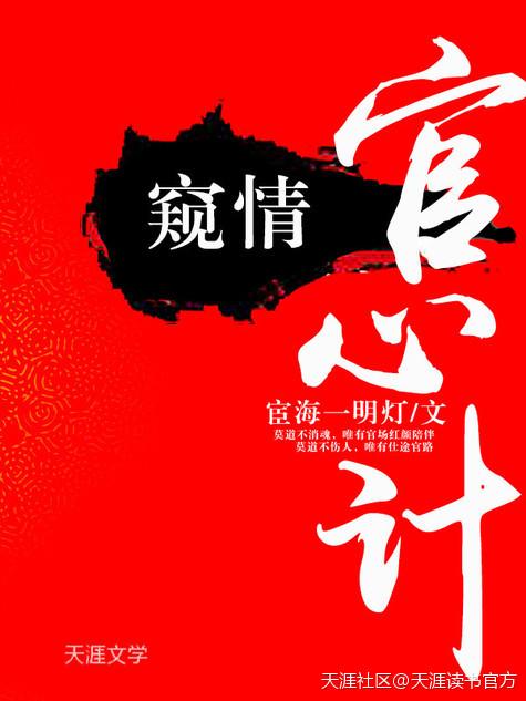 窥情：官心计封面