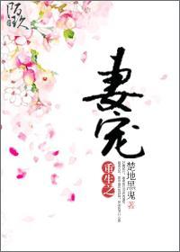 重生之爱妻（女尊）封面