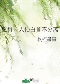 愿得一人伈白首不分离封面